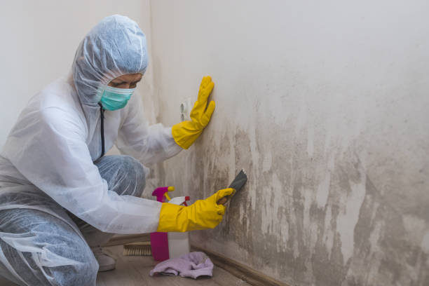 Best Airborne Mold Testing  in Concordia, NJ
