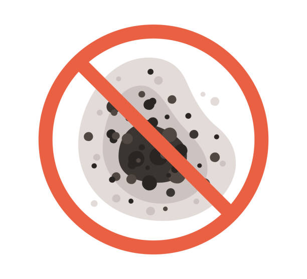Best Mold Damage Restoration  in Concordia, NJ