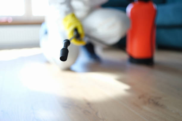 Best Mold Removal for HVAC Installations  in Concordia, NJ