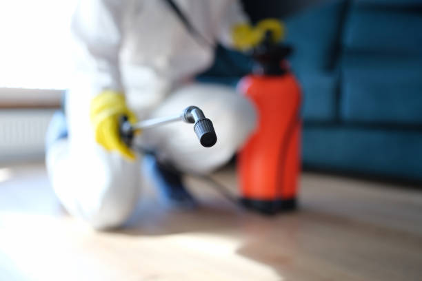Best Post-Remediation Verification Testing  in Concordia, NJ