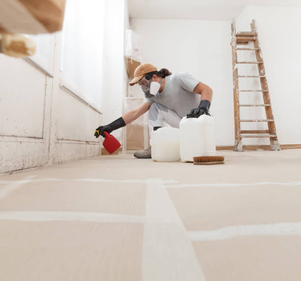 Best Dehumidification Services  in Concordia, NJ