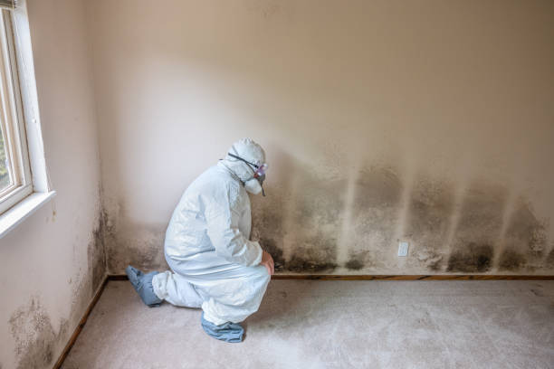 Best Industrial Mold Remediation  in Concordia, NJ